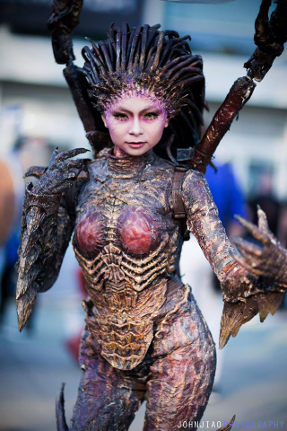 Illustration for article titled BlizzCon Had Some Truly Excellent Cosplay